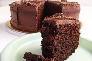 plato con una porción de torta de chocolate